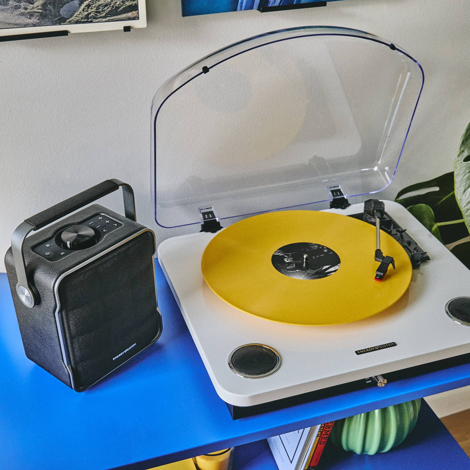 Miniatura 8